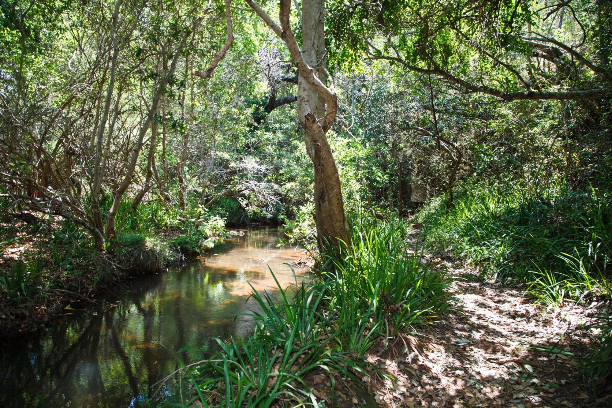 Blyde Canyon, A Forever Resort Matibidi Eksteriør bilde