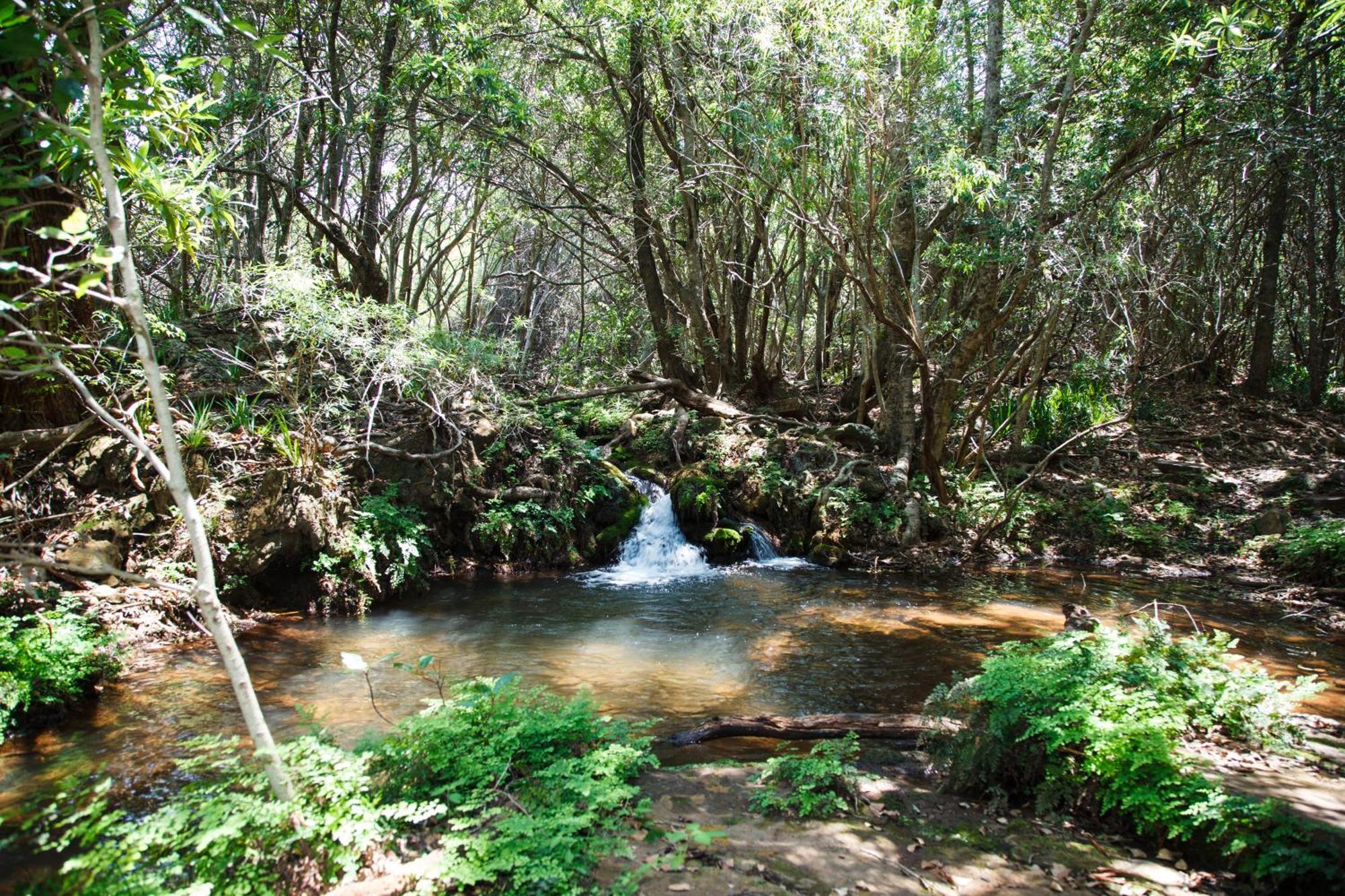 Blyde Canyon, A Forever Resort Matibidi Eksteriør bilde